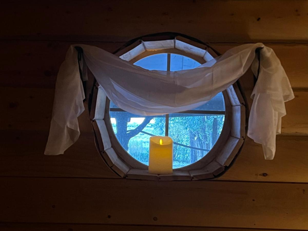 The Gratitude Homestay Аламоса Екстериор снимка